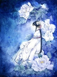 护花之最狂学生