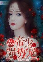 帝少強勢寵:夫人,求名分